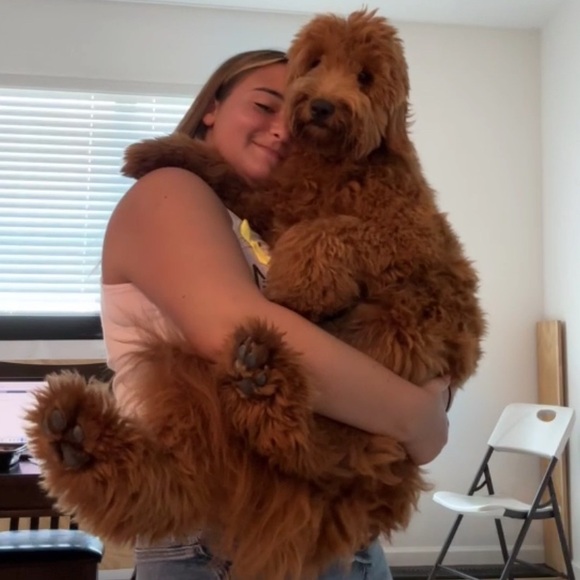 Meet your Posher, Marietta - Picture 1 of 1